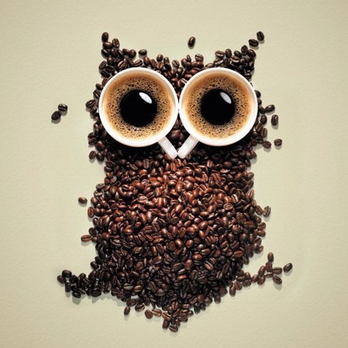 NellyT24's profile picture. “We should all start to live before we get too old. Fear is stupid. So are regrets.”