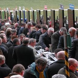 Mainly focusing on the big horse racing festivals. Will gives tips for other meetings and sporting events if asked.