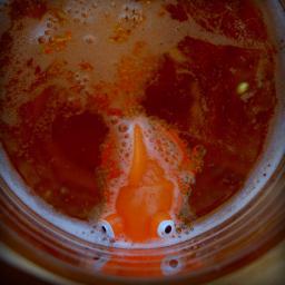 _bosonoga's profile picture. 