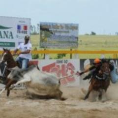 #TCHÊ2013 é Noix