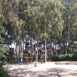 Sou professora da rede estadual de ensino, tenho duas filhas maravilhosas e um neto lindo. Amo viver com simplicidade.