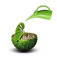 Palu Tweet (@palutweet) 's Twitter Profile Photo Palu Tweet (@palutweet) 's Twitter Profile Photo