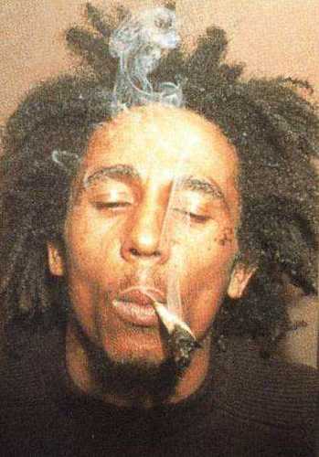Music | Coffee Freak | Alkoholic | Legalitas Marijuana