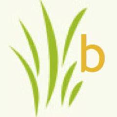 Bloogersplace's profile picture. Anything and Everything Blog!