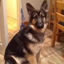 DEBRA HERSEY - @debicrafter - Twitter