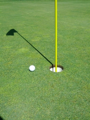 mcinnis13's profile picture. 