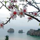 Urooj Sheikh - @scorp_urooj - Twitter