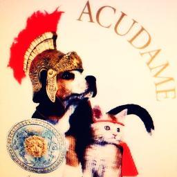 Contacto/PAYPAL:asociacion_acudame@hotmail.com
BBVA ES3201820388430202108640