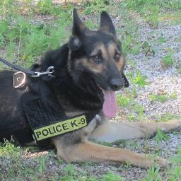 @NatGeoWild takes you inside @VohneLiche Kennels to see how #Police #Dogs, #MilitaryDogs & other #K9s are trained - follow their stories from bites to bombs