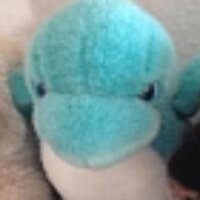 mborus (@mborus) 's Twitter Profile