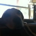 hayden terry hampton - @q_hayden - Twitter