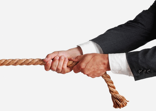 ebuksir's profile picture. Тысячи запросов в топе: идеально для предприятий с большим ассортиментом продукции. Активная раскрутка сайта http://t.co/VC2CmJcg