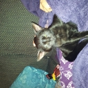 gavin beard - @BeardGavin - Twitter