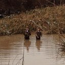 Austin Wren - @Austin_Wren09 - Twitter