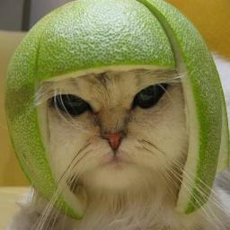 I follow back!
Quality, entertaining tweets every hour or so! Garunteed to make you laugh.