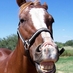 Rosko (@roskosays) Twitter profile photo Rosko (@roskosays) Twitter profile photo