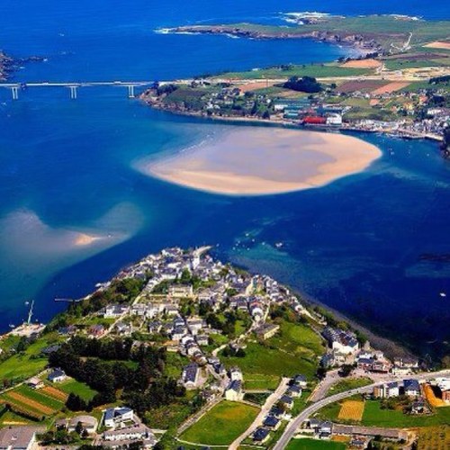 painter1914's profile picture. 