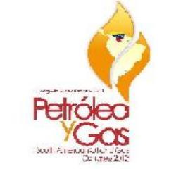 II Congreso Suramericano Petroleo y Gas 2013