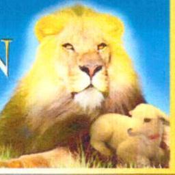 Revelation Of Christ Church Nondenominational 
Disciples of Christ Commissioned to spread the gospel of Jesus Christ to the nations.