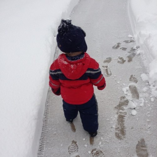 block4council's profile picture. I am declaring my candidacy for the Fond du Lac City Council position in the 2013 spring election.