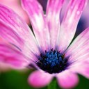 Lindsay Sanchez - @LindsayLSan - Twitter