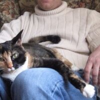todd mifflin (@toddmifflin) 's Twitter Profile