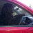 Woofdavethedog's profile image