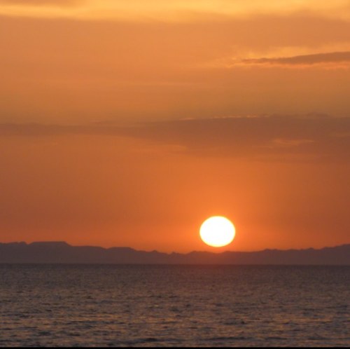 EdgarM_C's profile picture. Papá de tiempo completo