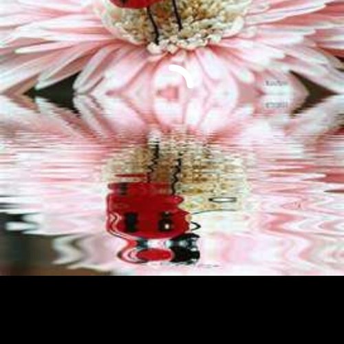 I love being with family and friends. I paint and decorate gourds.  Need a great gift item i can help!