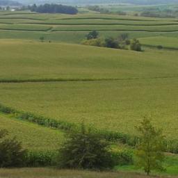 https://t.co/FumeTlF3L8, Helping U.S. AG Producers protect profits.  There is a significant risk of loss when trading futures. Nothing tweeted is a recommendation.