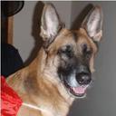 Vicky Harrison - @T_PrincessBook - Twitter