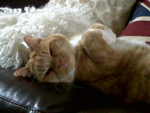 Squeeze01's profile picture. 