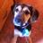 SkippyDawn's profile image