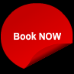 SexyFestival's profile picture. 