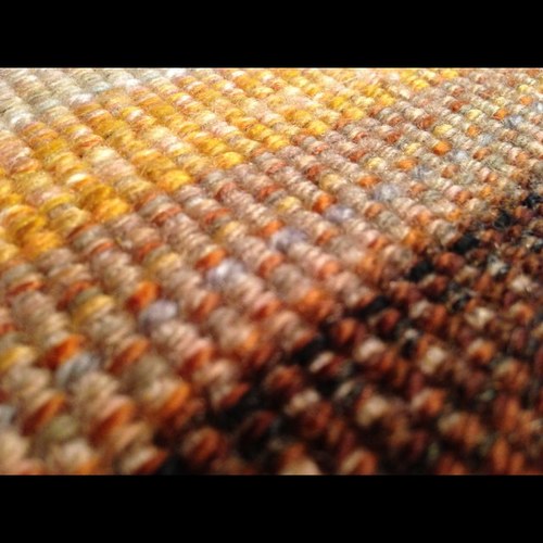 roger_stilton's profile picture. 