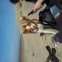 Shannon Beaton - @shannon112093 - Twitter