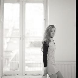 olivecollar's profile picture. 