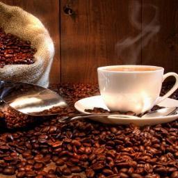 thechefscafe's profile picture. The Cocktail Chef's CAFE is your connection to GANO EXCEL! The world's first and foremost healthy coffee with Ganoderma, Ginsing, and Longifolia Jack! Enjoy!