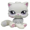 daisy palacio - @PalacioXD - Twitter