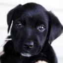 Nick Swenson - @NickSwenson - Twitter