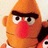 Angry Bert