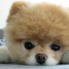 capricornio_02's profile picture. 