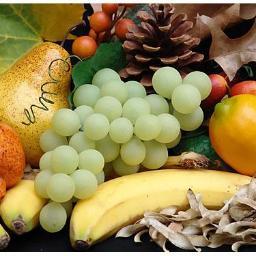 Guida semiseria per onnivori che cercano ricette per i loro amici veg, ospiti a cena :)