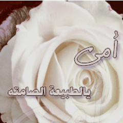 فقط أحب أمي فاطمة ..
وكل مايُكتب هنا لها ..