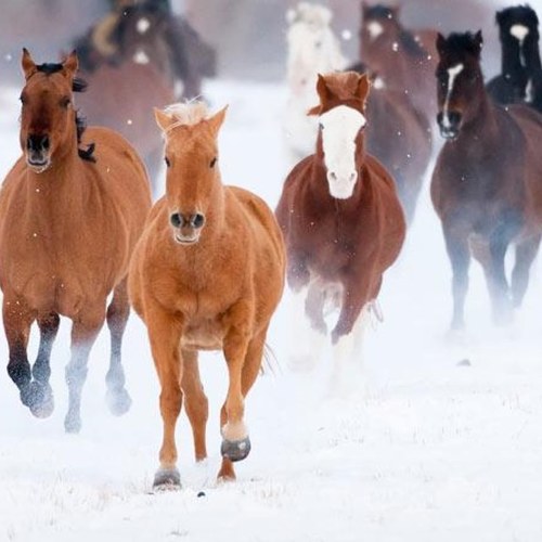 joansmillet's profile picture. 