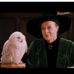Jefa de la casa Gryffindor,Directora de Hogwarts tras la muerte de Dumbledor.No descansare hasta ver destruido al equipo Slytherin jugando al quidditch.