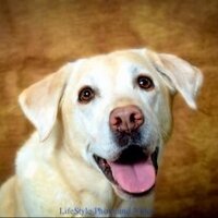 Jamie Dale (@ikespanish) 's Twitter Profile Photo