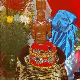 alejocort's profile picture. 