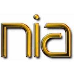 Northern Indiana Artists, Inc. (NIA) is a non-profit organization dedicated to the promotion of contemporary creative art.