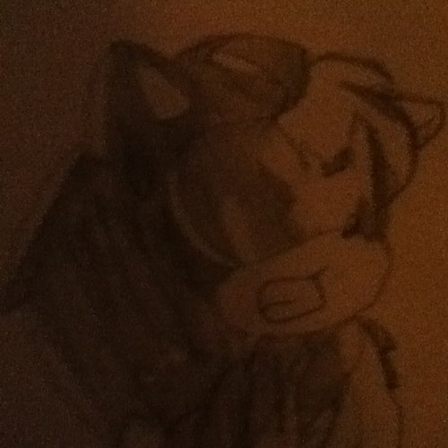 Star_Hedgie Profile Picture